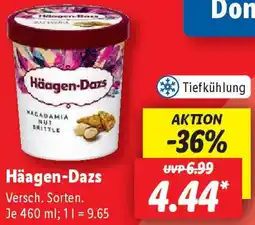 Lidl Häagen-Dazs Angebot