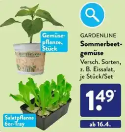 Aldi Süd GARDENLINE Sommerbeetgemüse Angebot