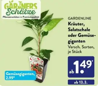 Aldi Süd GARDENLINE Kräuter, Salatschale oder Gemüsegiganten Angebot