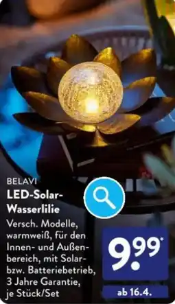 Aldi Süd BELAVI LED-Solar Wasserlilie Angebot