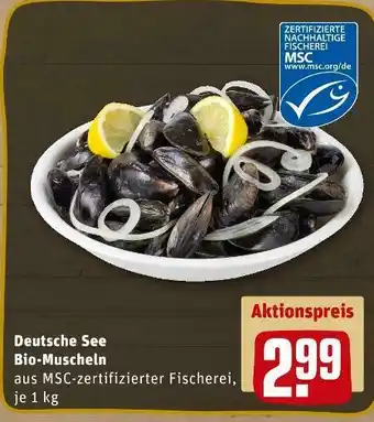 REWE Deutsche see bio-muscheln Angebot