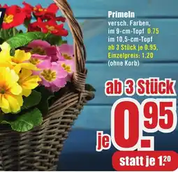 B1 Discount Baumarkt Primeln Angebot