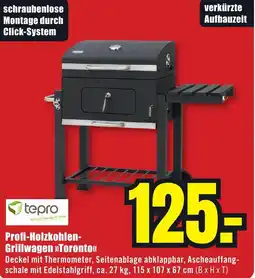 B1 Discount Baumarkt Tepro Profi-Holzkohlen Grillwagen Toronto Angebot