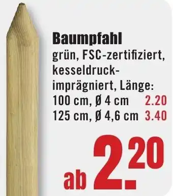 B1 Discount Baumarkt Baumpfahl Angebot