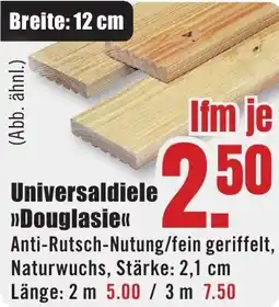 B1 Discount Baumarkt Universaldiele Douglasie Angebot