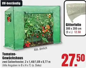 B1 Discount Baumarkt Tomaten Gewächshaus Angebot