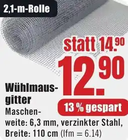 B1 Discount Baumarkt Wühlmausgitter Angebot