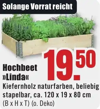 B1 Discount Baumarkt Hochbeet Linda Angebot