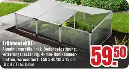 B1 Discount Baumarkt Frühbeet XXL Angebot