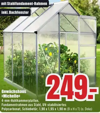 B1 Discount Baumarkt Gewächshaus Michelle Angebot