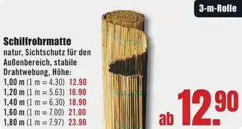 B1 Discount Baumarkt Schilfrohrmatte Angebot