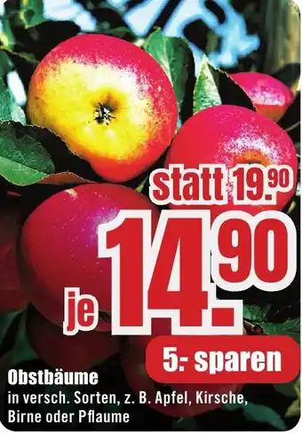 B1 Discount Baumarkt Obstbäume Angebot