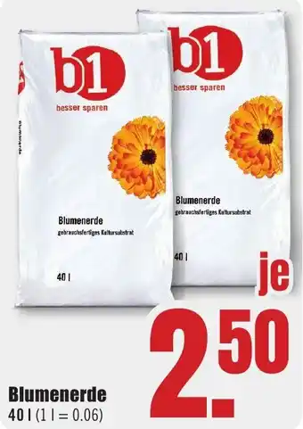 B1 Discount Baumarkt b1 Blumenerde Angebot