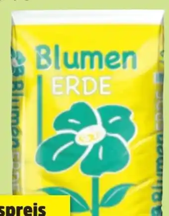 Thomas Philipps Blumenerde Angebot