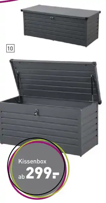 Möbel Martin Kissenbox Angebot