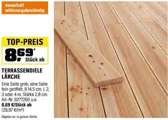 OBI Terrassendiele lärche Angebot