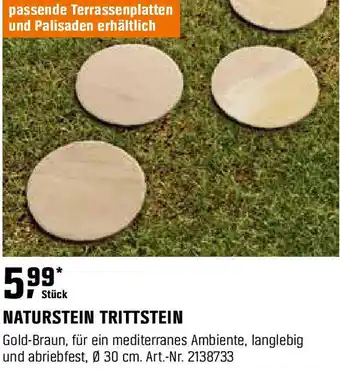 OBI Naturstein trittstein Angebot