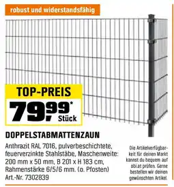 OBI Doppelstabmattenzaun Angebot