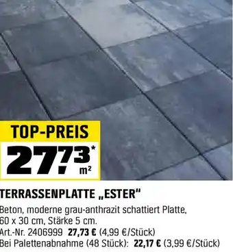 OBI Terrassenplatte,,ester" Angebot