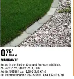 OBI Mähkante Angebot