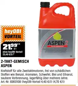 OBI 2-takt-gemisch ASPEN Angebot