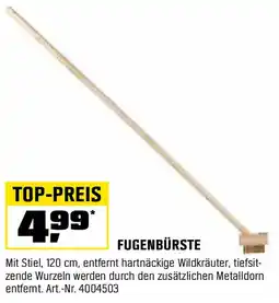 OBI Fugenbürste Angebot