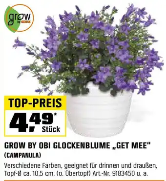 OBI Grow by obi glockenblume,,get mee" (campanula) Angebot