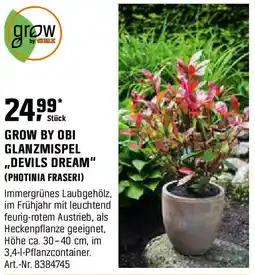 OBI Grow by obi glanzmispel ,,devils dream" (photinia fraseri) Angebot