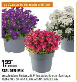 OBI Stauden-mix Angebot