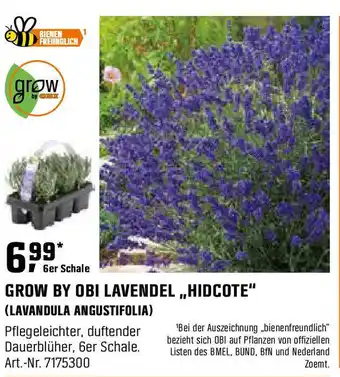 OBI Grow by obi lavendel,,hidcote" (lavandula angustifolia) Angebot