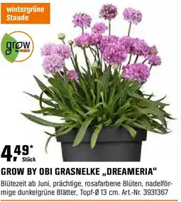 OBI Grow by obi grasnelke,,dreameria" Angebot