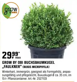 OBI Grow by obi buchsbaumkugel ,,faulkner" (buxus microphylla) Angebot