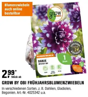 OBI Grow by obi frühjahrsblumenzwiebeln Angebot