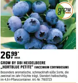 OBI Grow by obi heidelbeere ,,hortblue petite" (vaccinium corymbosum) Angebot