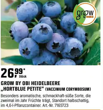 OBI Grow by obi heidelbeere ,,hortblue petite" (vaccinium corymbosum) Angebot