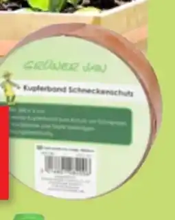 Thomas Philipps Grüner Jan Kupferband Angebot