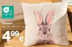 KiK Kissen Angebot