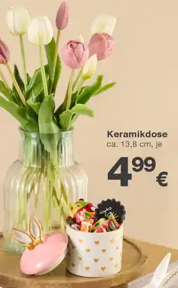 KiK Keramikdose Angebot