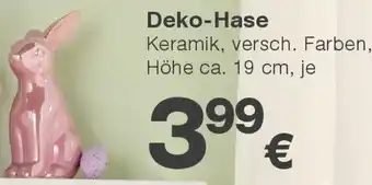 KiK Deko-Hase Angebot