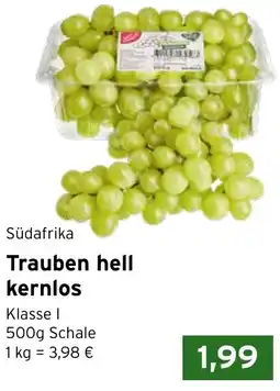 CAP Markt Südafrika Trauben hell kernlos Angebot