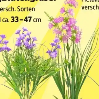 Thomas Philipps Kunstblume Blütengräser Angebot