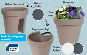 Aldi Süd Belavi Blumentopf Angebot