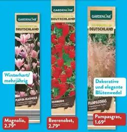 Aldi Süd Gardenline Gartenpflanzen-Mix Angebot