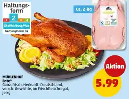 PENNY MÜHLENHOF Ente Angebot