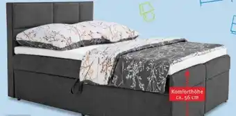 Trends Möbel Boxbett Kiam Angebot