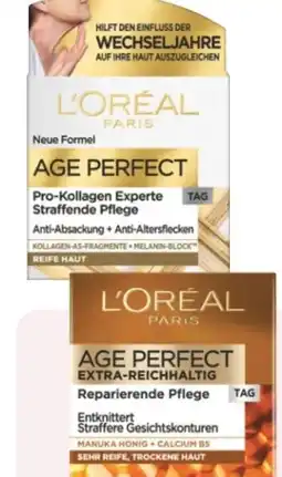 Rossmann L'Oréal Paris Age Perfect Pro-Kollagen Experte Tagespflege Angebot