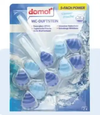 Rossmann Domol WC-Duftsteine 2in1 Angebot