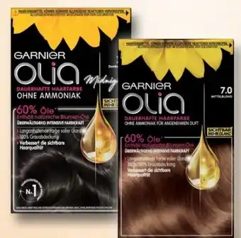 Rossmann Garnier Olia Coloration Angebot