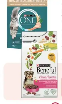 Rossmann Purina One Katzen-Trockennahrung Angebot