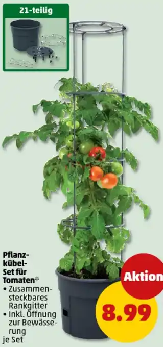 PENNY Pflanzkübel Set für Tomaten Angebot